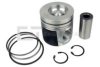 DEUTZAG 04290313 Piston